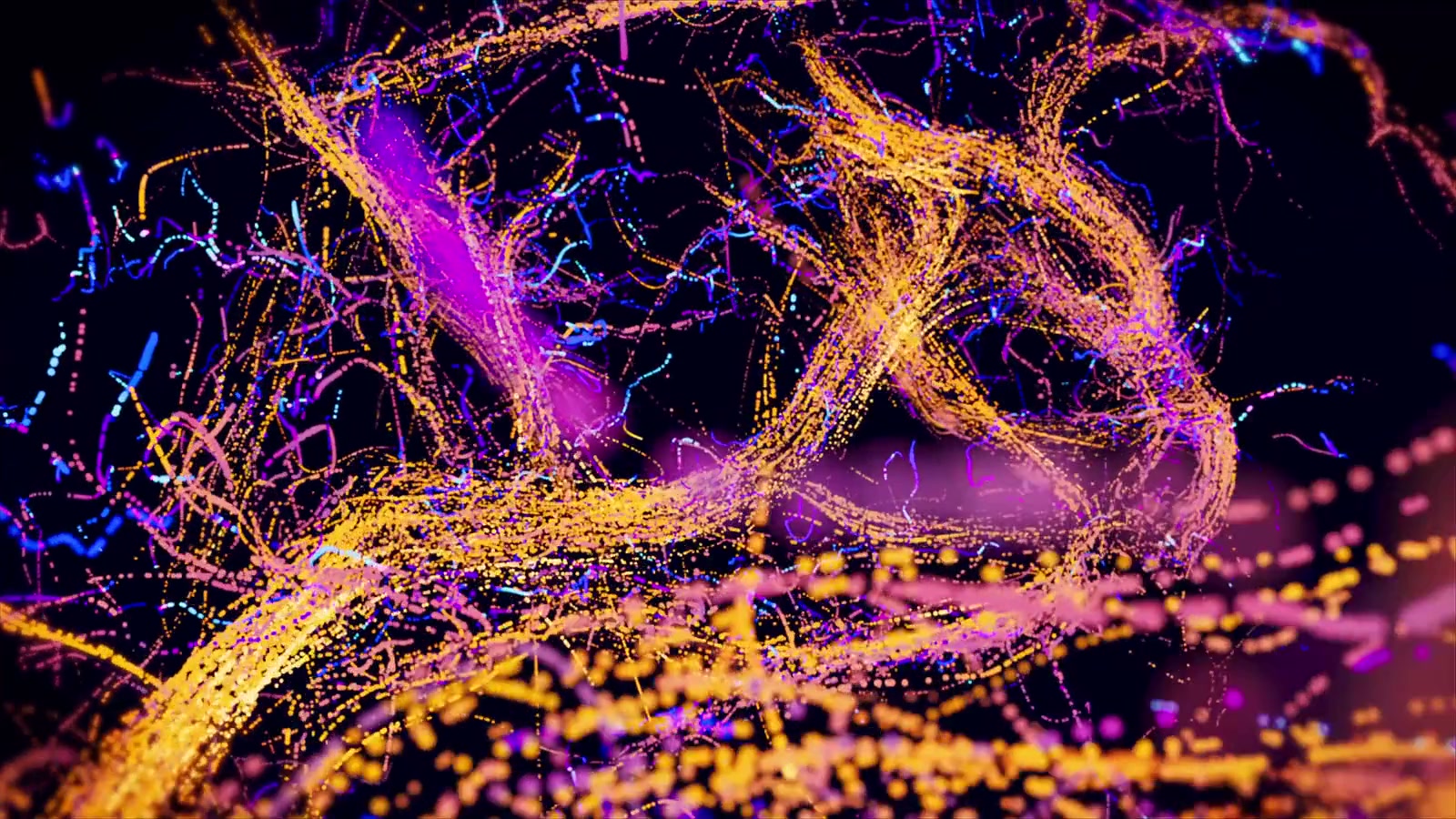 The dense vascular network of a living brain