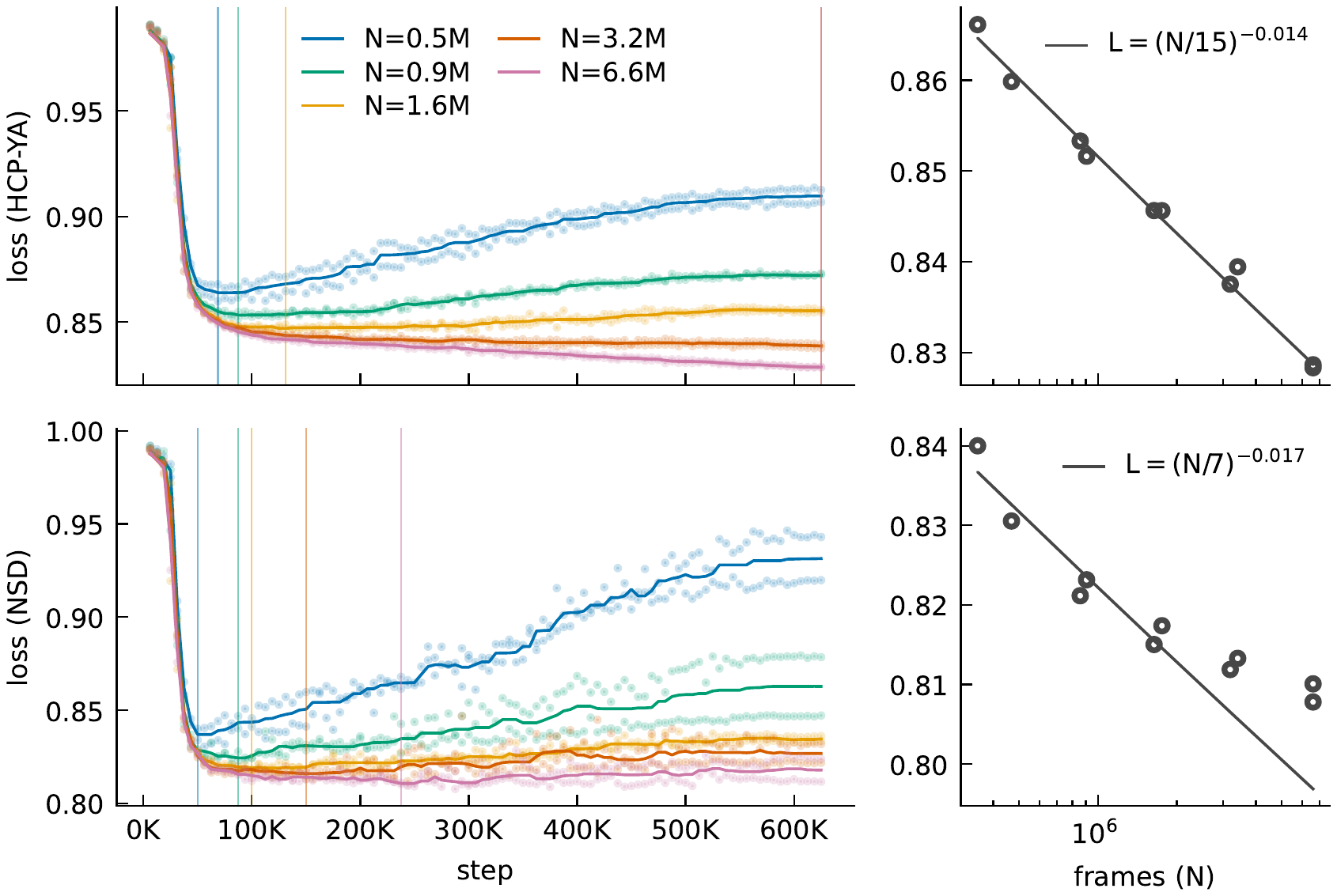 fMRI flatmap decoding 2025: validation loss falling with training steps for five model sizes on HCP-YA and NSD, with power-law fits in frames of training data